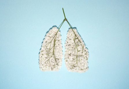 Lungs