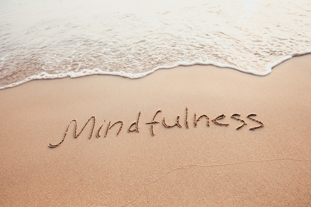 Cultivate Mindfulness