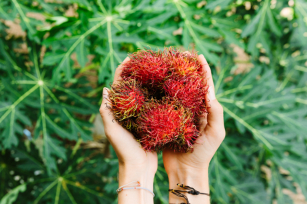 Eastern Medicine Fruits and Vegetables - Rambutan