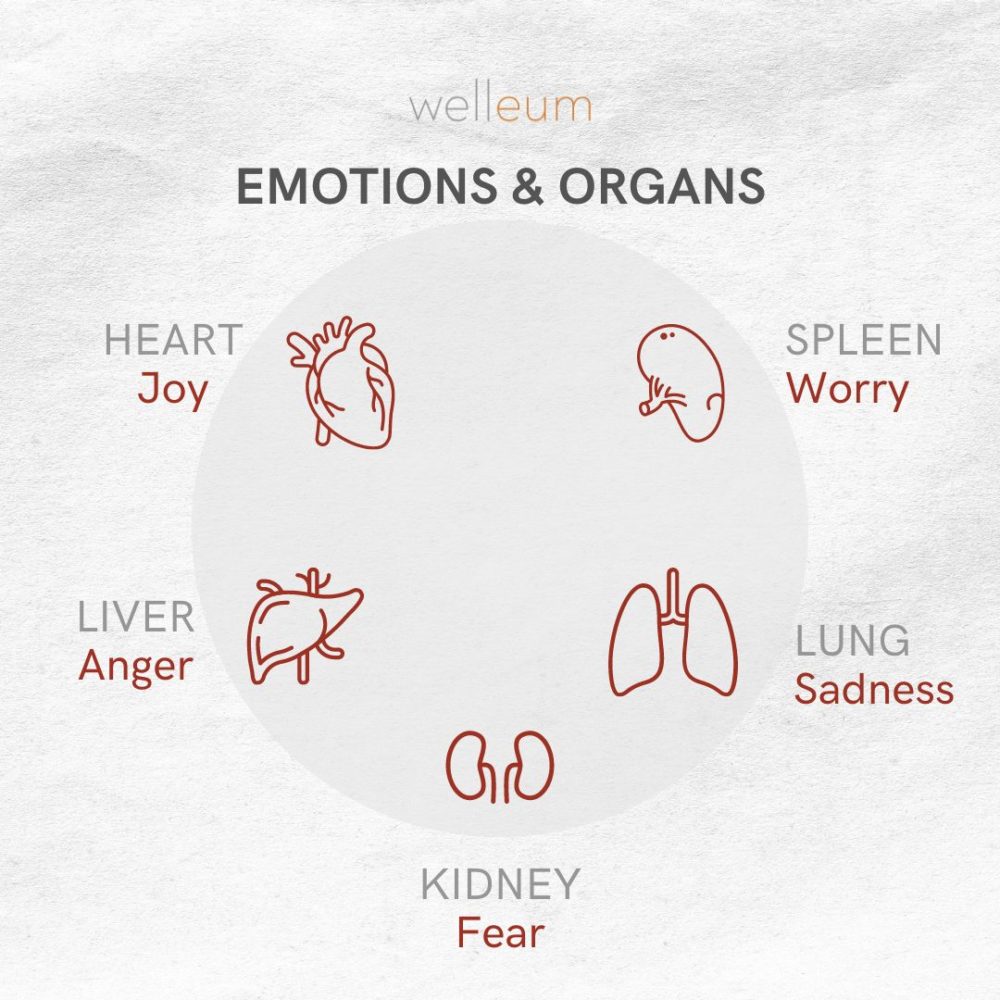 Emotions and Organs