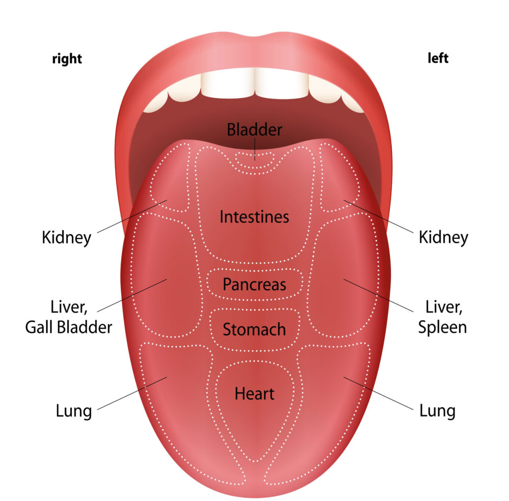 Areas of the Tongue In Eastern Medicine