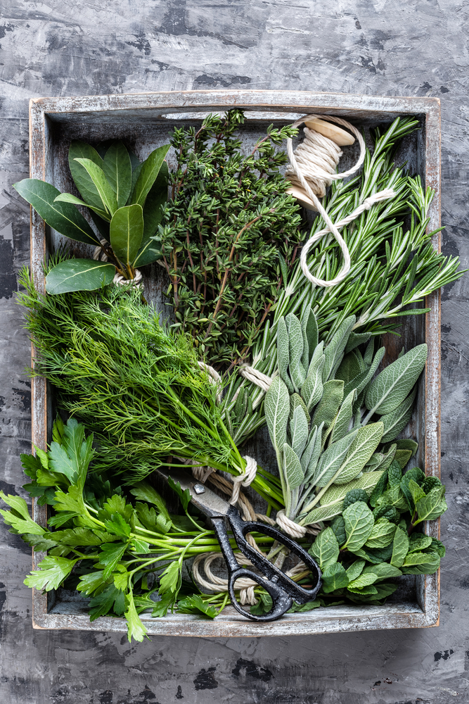 Herbs for Body Temperature Control