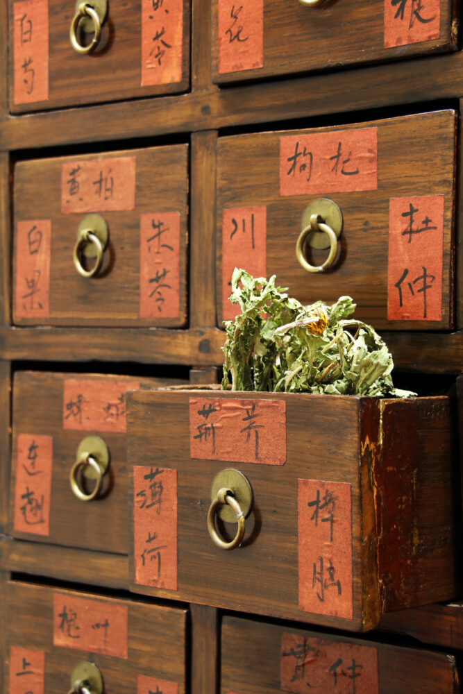 Chinese Medicine Cabinet