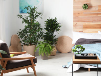 The Art of Alignment: Feng Shui and Health – Nurturing Well-being through Harmonious Spaces